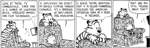 Calvin and Hobbes - ADHD