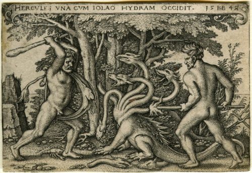 Hydra