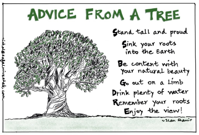 Advice from A Tree